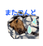 おちゅりちゃんの日常使いスタンプ（個別スタンプ：29）