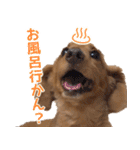 おちゅりちゃんの日常使いスタンプ（個別スタンプ：33）