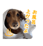 おちゅりちゃんの日常使いスタンプ（個別スタンプ：34）