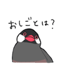 敬語の桜文鳥（個別スタンプ：10）