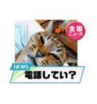 わたしのねこは気まぐれです第2だん（個別スタンプ：8）