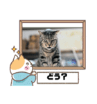 わたしのねこは気まぐれです第2だん（個別スタンプ：11）