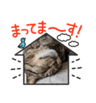 わたしのねこは気まぐれです第2だん（個別スタンプ：14）