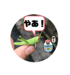 公園の仲間達（個別スタンプ：1）