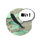 公園の仲間達（個別スタンプ：4）