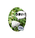 公園の仲間達（個別スタンプ：5）