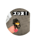 公園の仲間達（個別スタンプ：8）