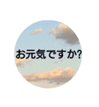 空の写真 日常編（個別スタンプ：7）