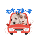 ♡なかよしfamily♡（個別スタンプ：5）