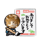茶トラ猫 ウルソ（個別スタンプ：3）