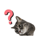 猫のブルーくん（個別スタンプ：3）