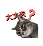 猫のブルーくん（個別スタンプ：4）