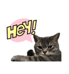 猫のブルーくん（個別スタンプ：6）
