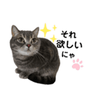 猫のブルーくん（個別スタンプ：9）