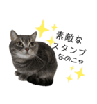 猫のブルーくん（個別スタンプ：10）