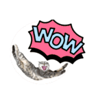 猫のブルーくん（個別スタンプ：16）