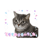 猫のブルーくん（個別スタンプ：25）
