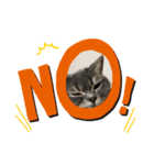 猫のブルーくん（個別スタンプ：35）