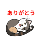 とら(猫)スタンプ（個別スタンプ：7）