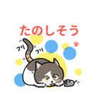 とら(猫)スタンプ（個別スタンプ：19）