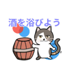 とら(猫)スタンプ（個別スタンプ：20）