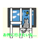 とら(猫)スタンプ（個別スタンプ：40）