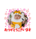 僕うたです☆（個別スタンプ：4）