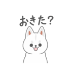 まるっと柴犬1 白（個別スタンプ：27）