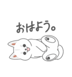 まるっと柴犬1 白（個別スタンプ：34）