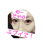 楽しさ満点（個別スタンプ：3）