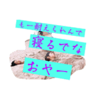 楽しさ満点（個別スタンプ：4）