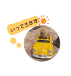 トイプードルぽこまる02（個別スタンプ：25）