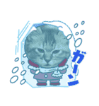 子猫のほっこりあいさつスタンプ（個別スタンプ：12）