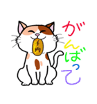 ぶち猫スタンプ その1（個別スタンプ：23）