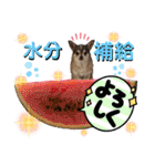 チワワ！癒し満載の娘たち！（個別スタンプ：24）