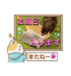 チワワ！癒し満載の娘たち！（個別スタンプ：28）