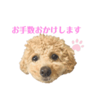 中山家のクッキーちゃん（個別スタンプ：8）