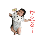 椿姫。壱番（個別スタンプ：3）