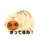 Tiger Lilly（個別スタンプ：7）