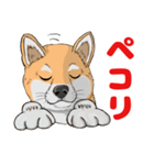 柴犬の擬人化スタンプ（個別スタンプ：4）