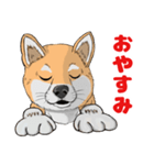 柴犬の擬人化スタンプ（個別スタンプ：6）