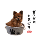 くるるのスタンプ①（個別スタンプ：2）
