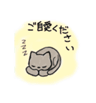 茶目っ気猫（個別スタンプ：24）