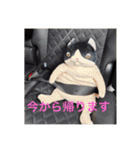 みやすたんぷ2022（個別スタンプ：1）