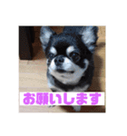 みやすたんぷ2022（個別スタンプ：15）