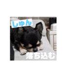 みやすたんぷ2022（個別スタンプ：18）