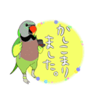 毎日使えるインコがいっぱい！2（個別スタンプ：7）