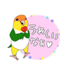 毎日使えるインコがいっぱい！2（個別スタンプ：12）