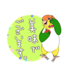 毎日使えるインコがいっぱい！2（個別スタンプ：13）