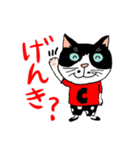 Nobimaru cat3（個別スタンプ：2）